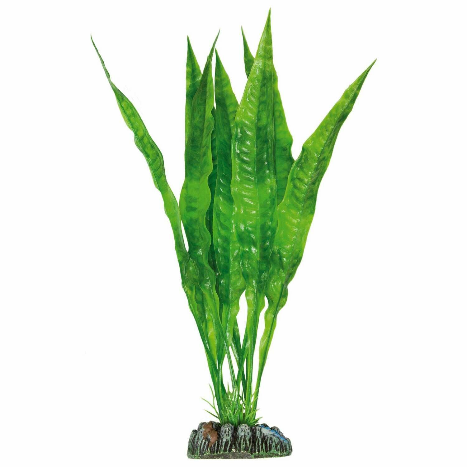 Echinodorus bleheri de AQUATIC PLANTS (PLÁSTICO)