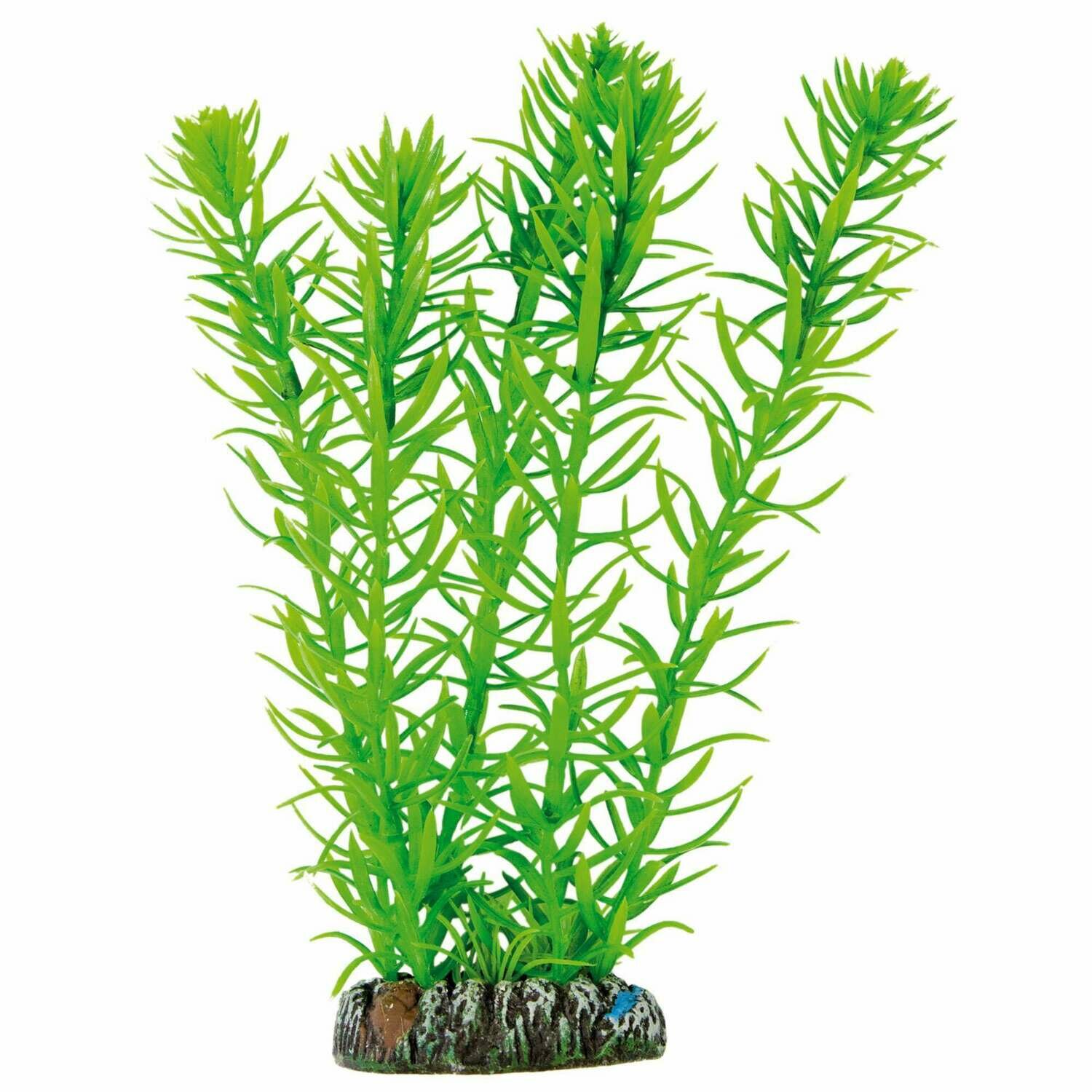 Egeria de AQUATIC PLANTS (PLÁSTICO)
