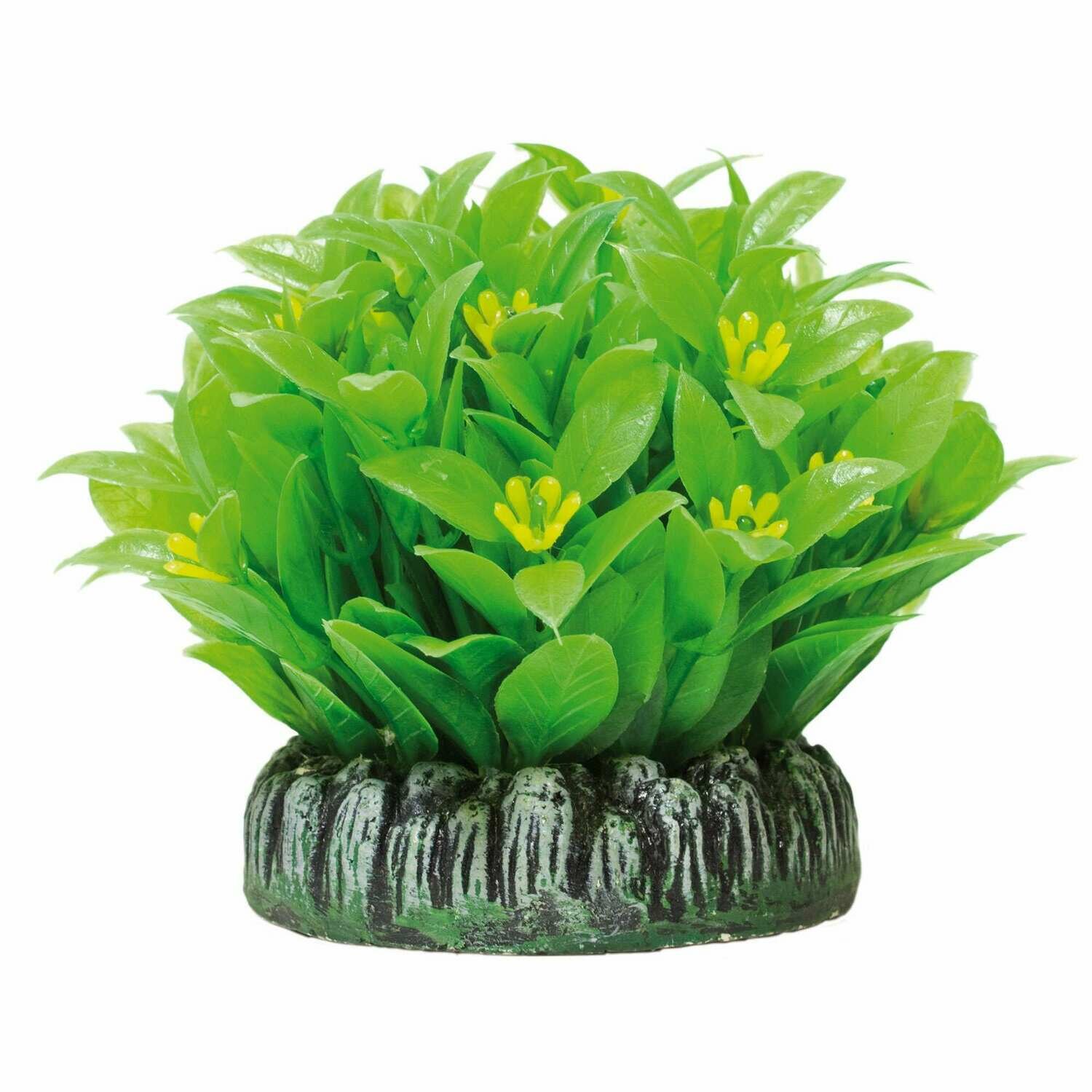 Nomaphila de AQUATIC PLANTS (PLÁSTICO)