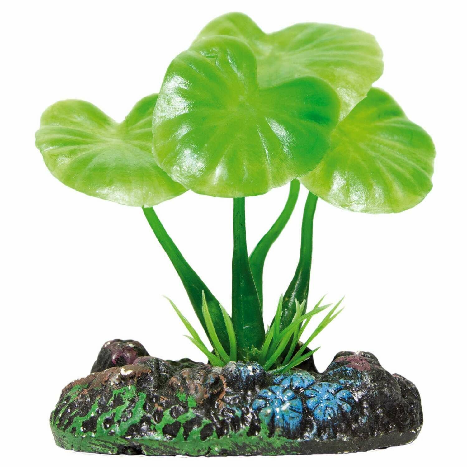 Rotala rotundifolia de AQUATIC PLANTS (PLÁSTICO)