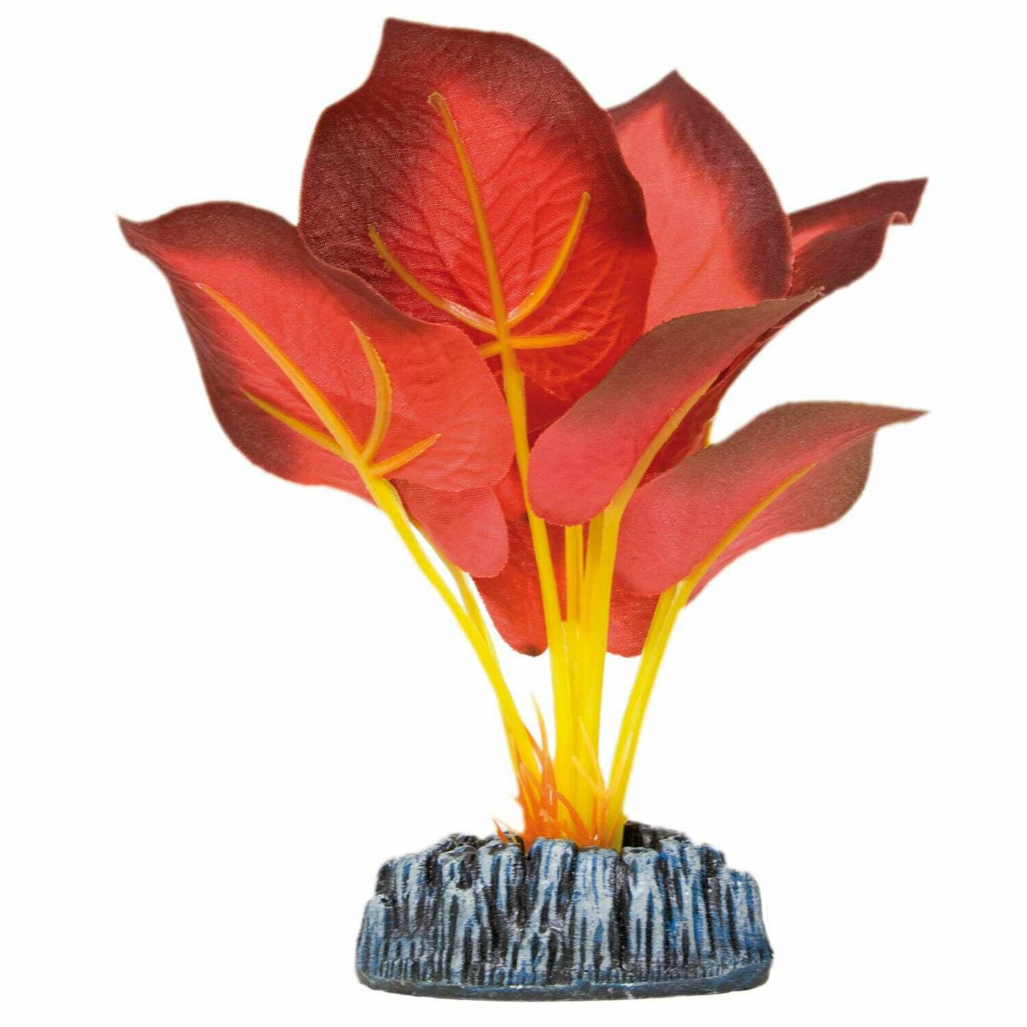 Ninfa de AQUATIC PLANTS (SEDA)