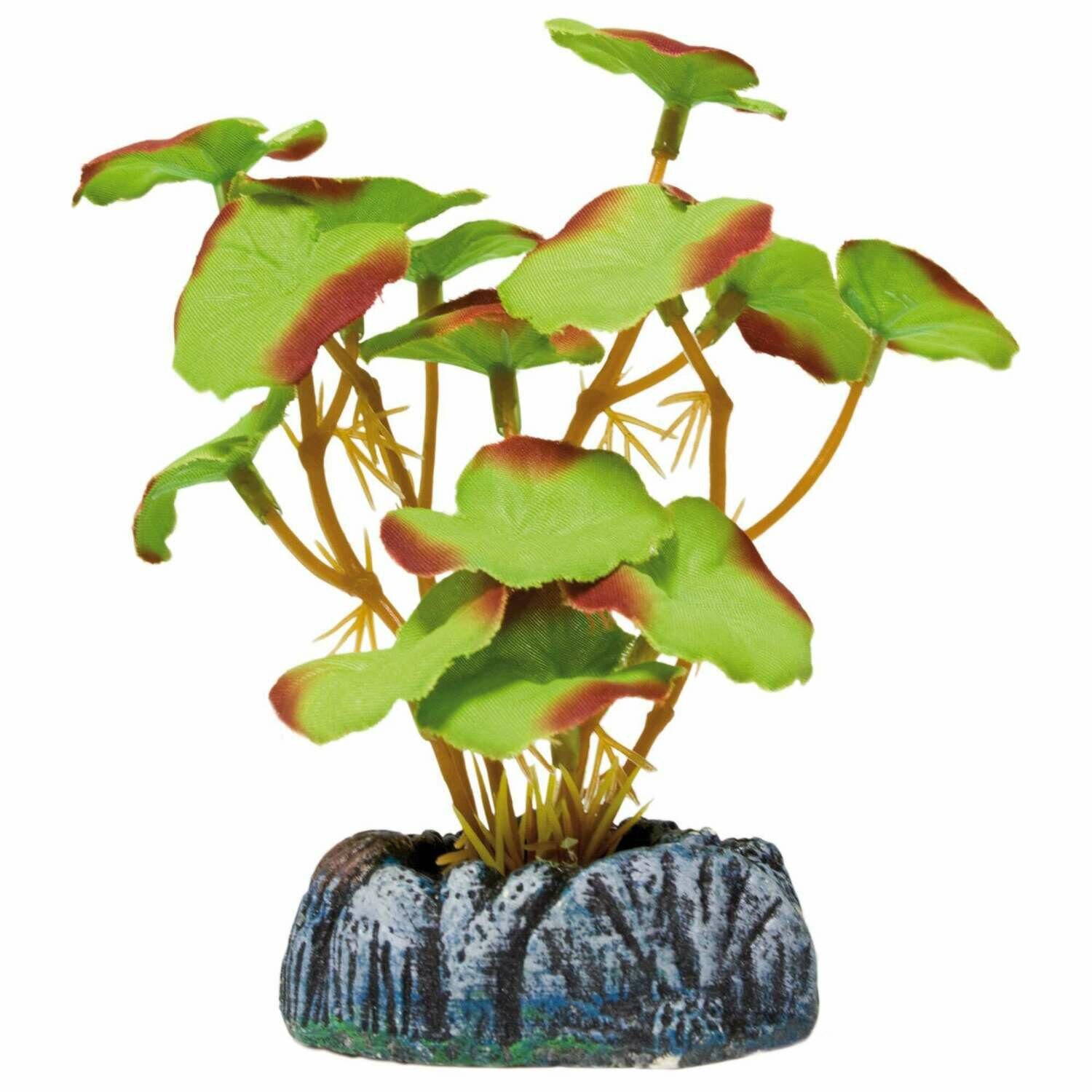 Nenúfar de AQUATIC PLANTS (SEDA)