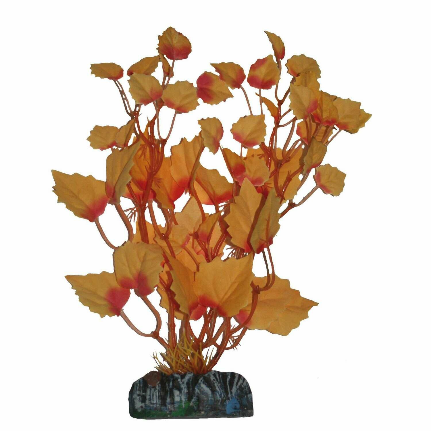 Hygrofila de AQUATIC PLANTS (SEDA) Hygrofila de AQUATIC PLANTS (SEDA)