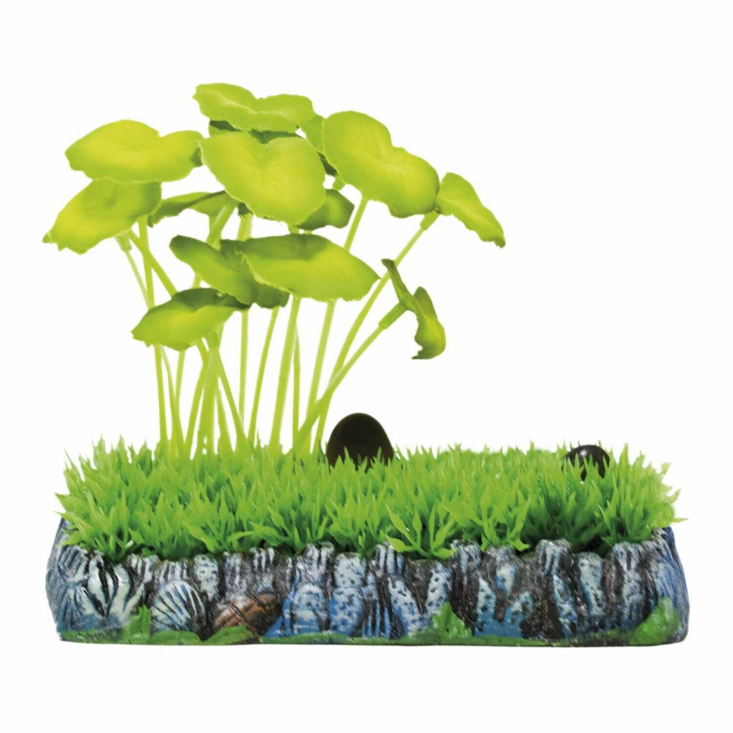 Hydrocotyle con césped de AQUATIC PLANTS (PLÁSTICO)