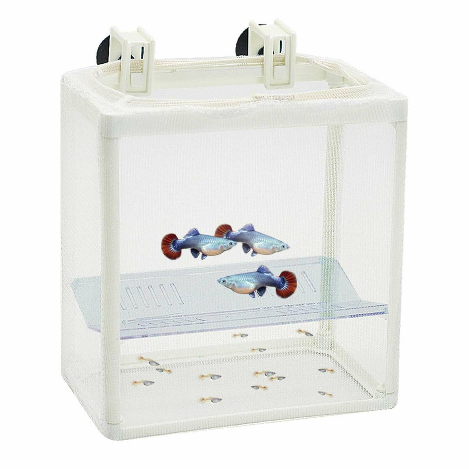 Paridera / Enfermería de RED con separador