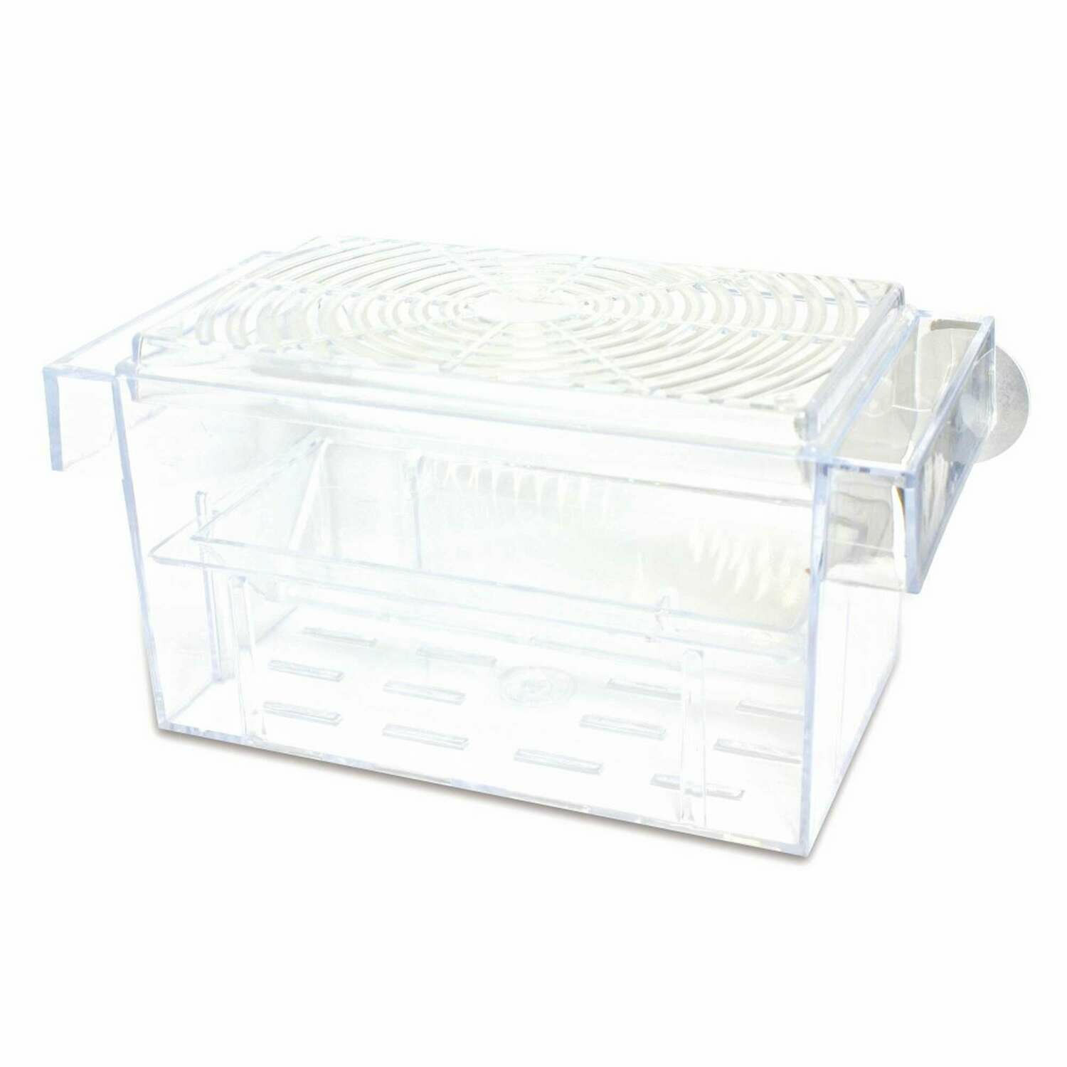 Paridera flotante 2 en 1 con tapa