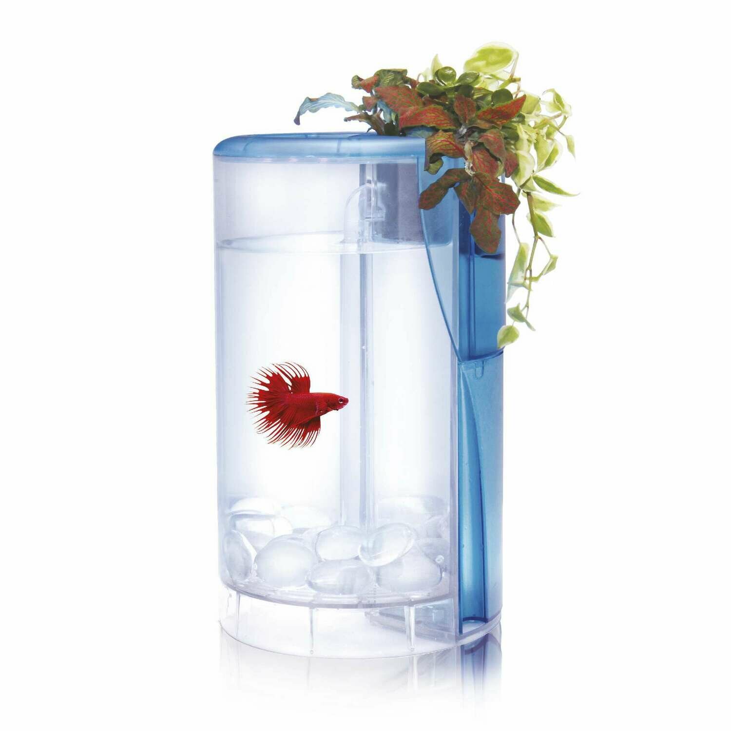 Kit Betta Flora LED