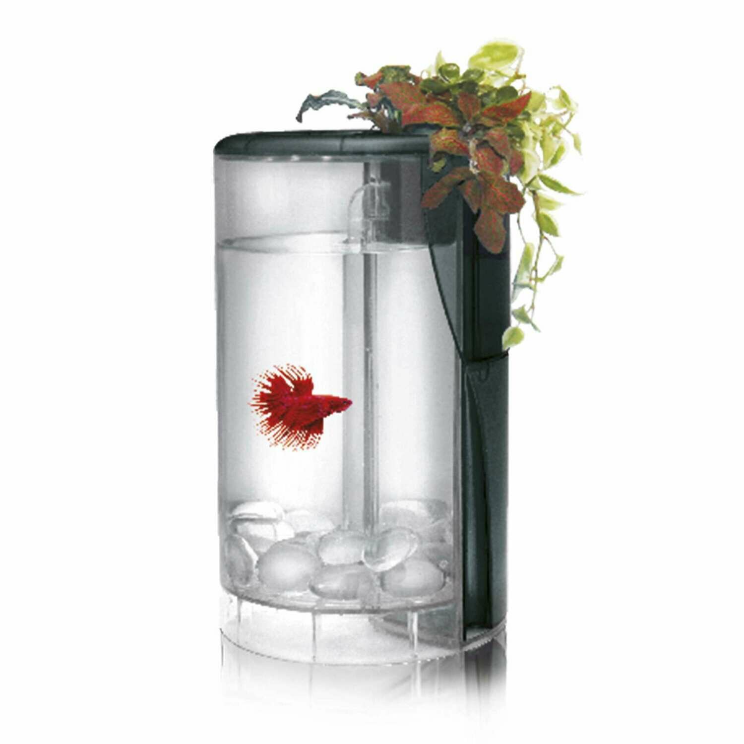 Kit Betta Flora LED