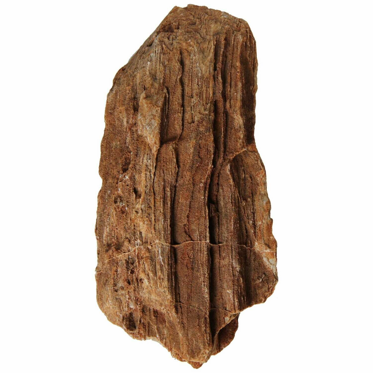 Rocas naturales AQUASCAPING Gold Petrified Mix