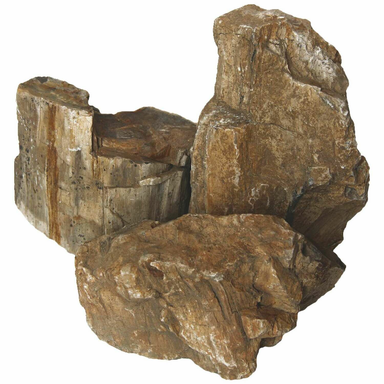 Rocas naturales AQUASCAPING Wooden Fossil Mix