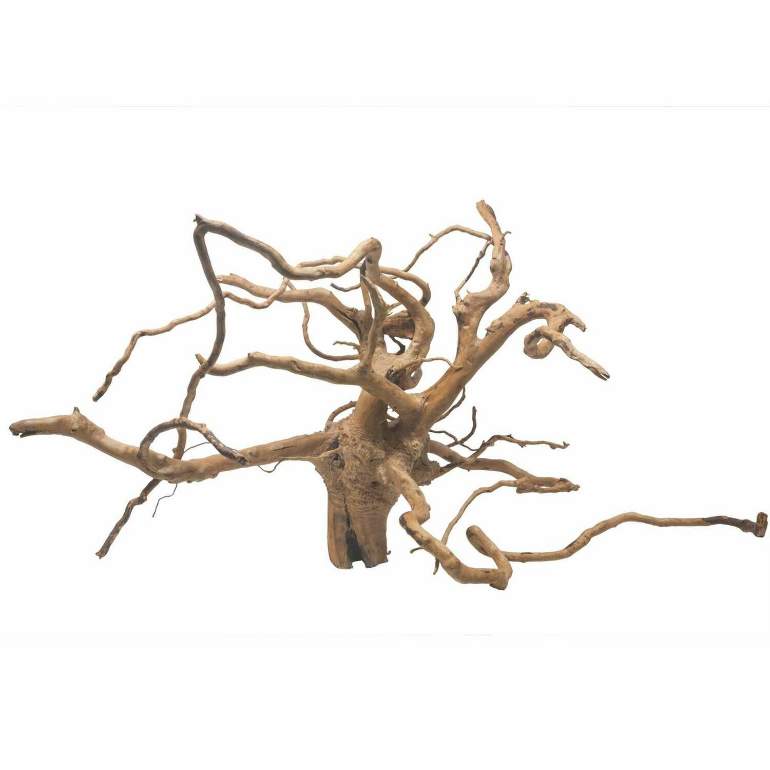 Raíces naturales Cuckoo Mix (3 - 5 kg)