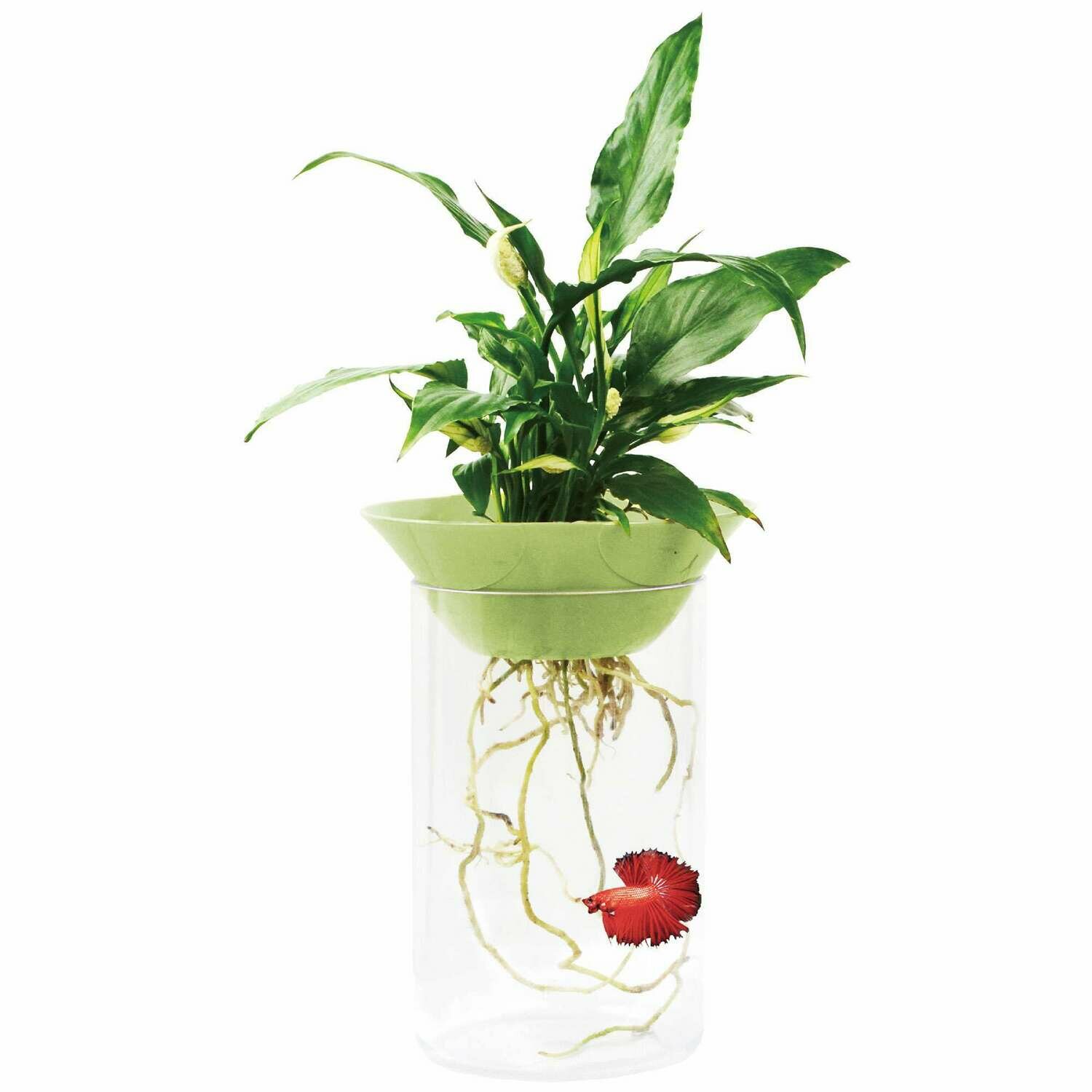 Pecera / Betera NATURE