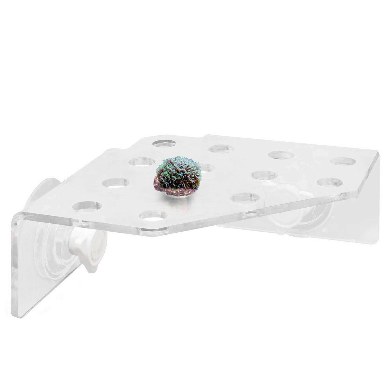 Estante para corales AQUA OCEAN