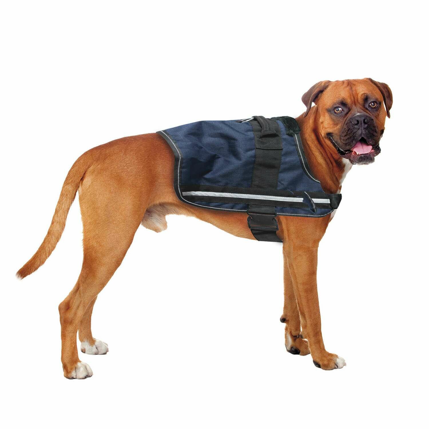 Arnés Active Reflect XT-DOG