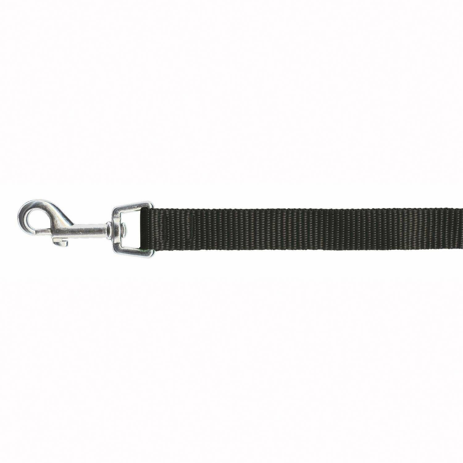 Correa Lisa Classic BOBY