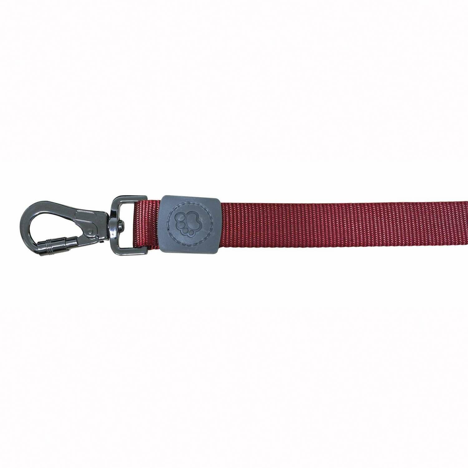 Correa Classic XT-DOG
