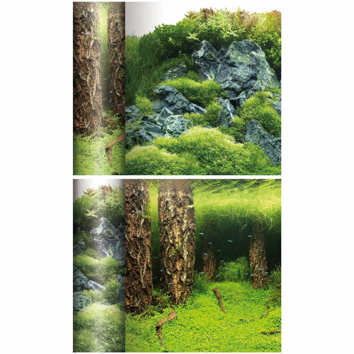 Fondo de doble cara (Fondo Tronco / Monte)