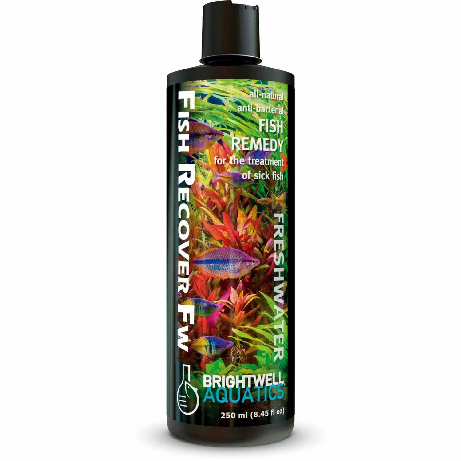 Tratamiento natural contra infecciones: Fish Recover FW de BRIGHTWELL AQUATICS Tratamiento natural contra infecciones: Fish Recover FW de BRIGHTWELL AQUATICS