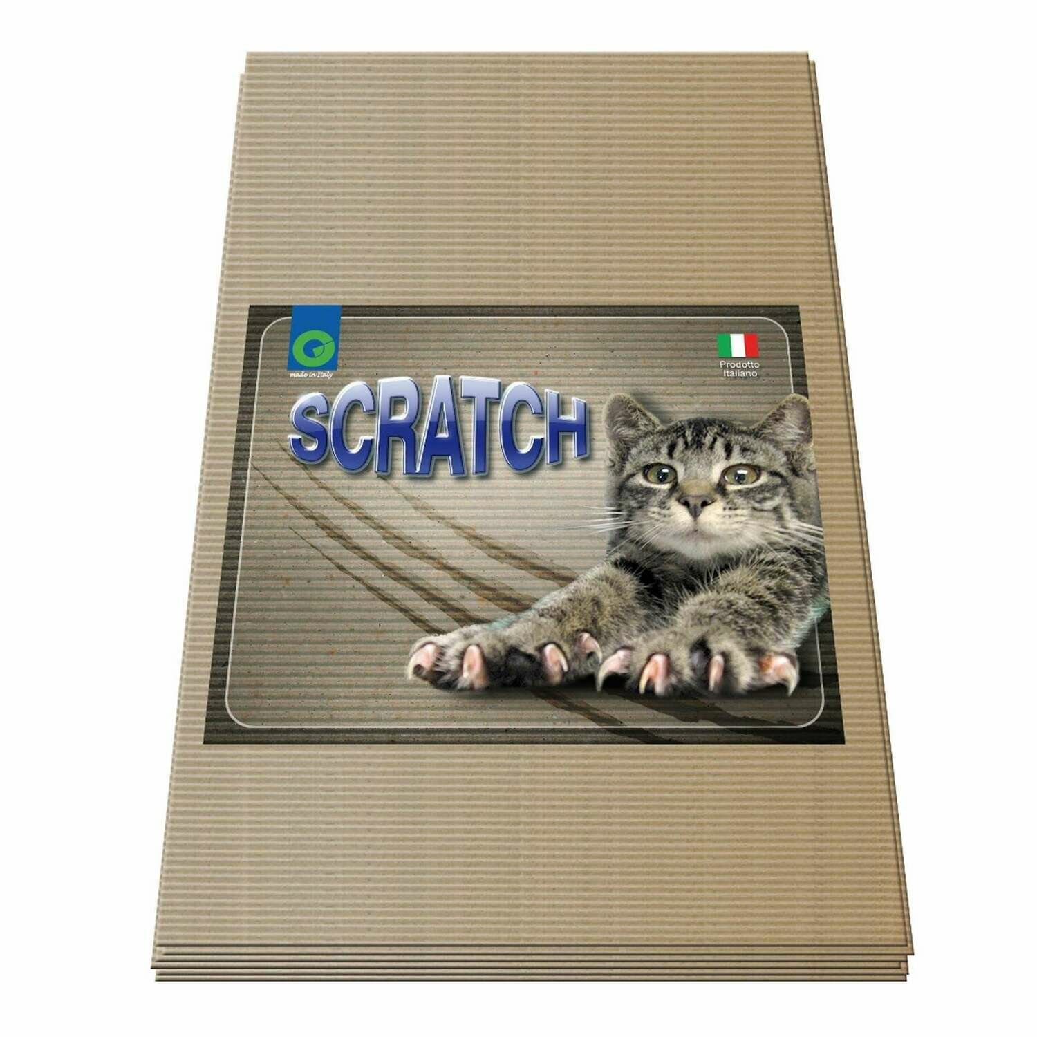 Recambio para rascador GP