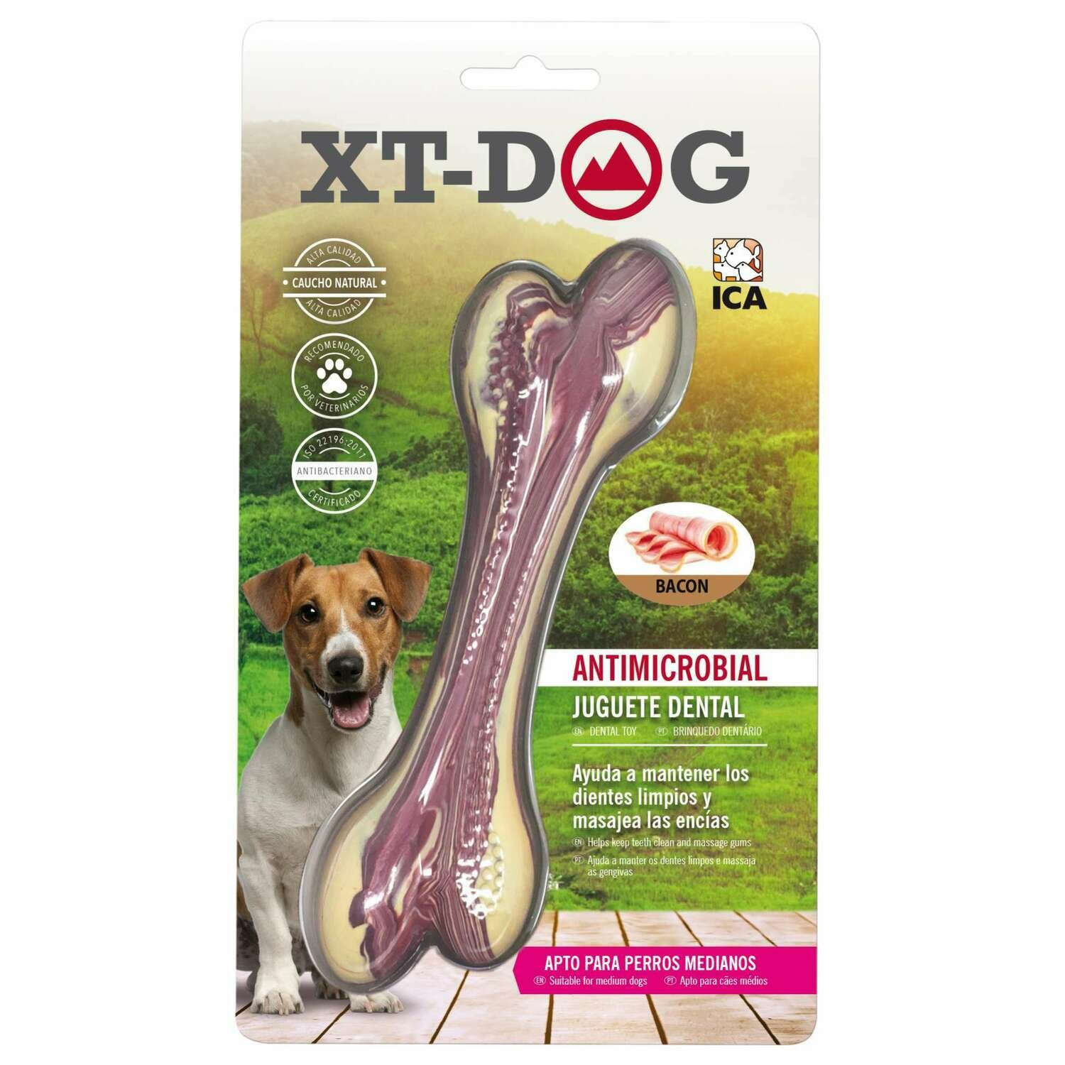 Huesito Dental Bone Beicon de XT-DOG