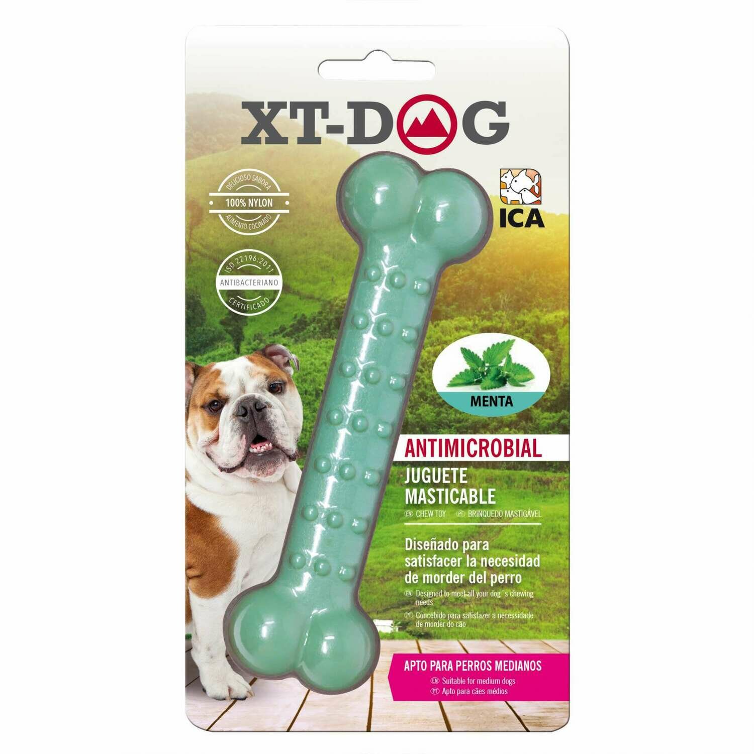 Huesito Dental Bone Nylon Menta de XT-DOG