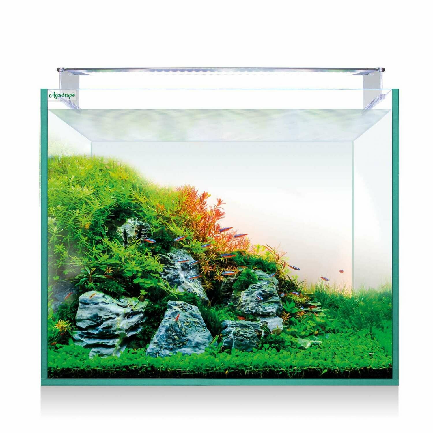 Kit AQUASCAPE RGB PRO EXTRA-CLARO 150