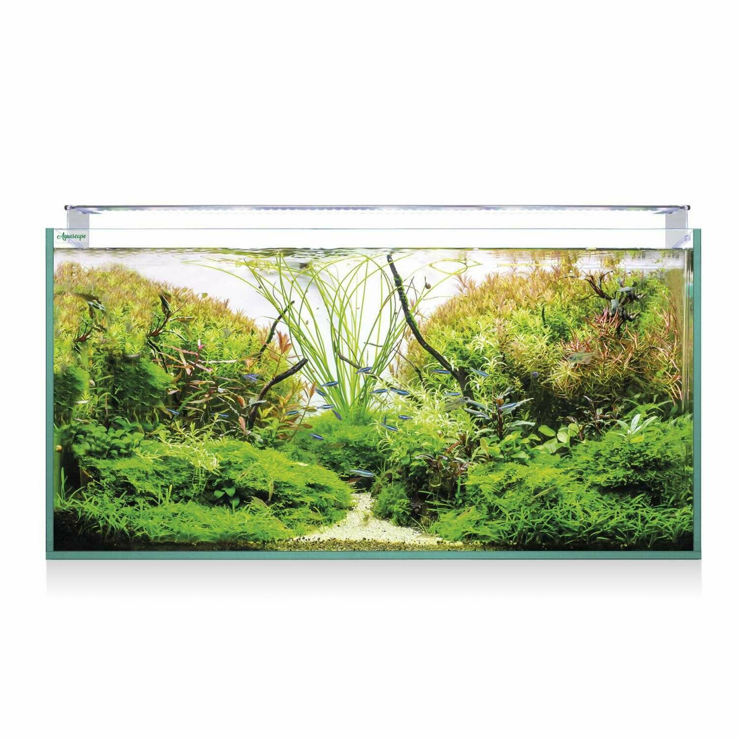 Kit AQUASCAPE RGB PRO EXTRA-CLARO 250