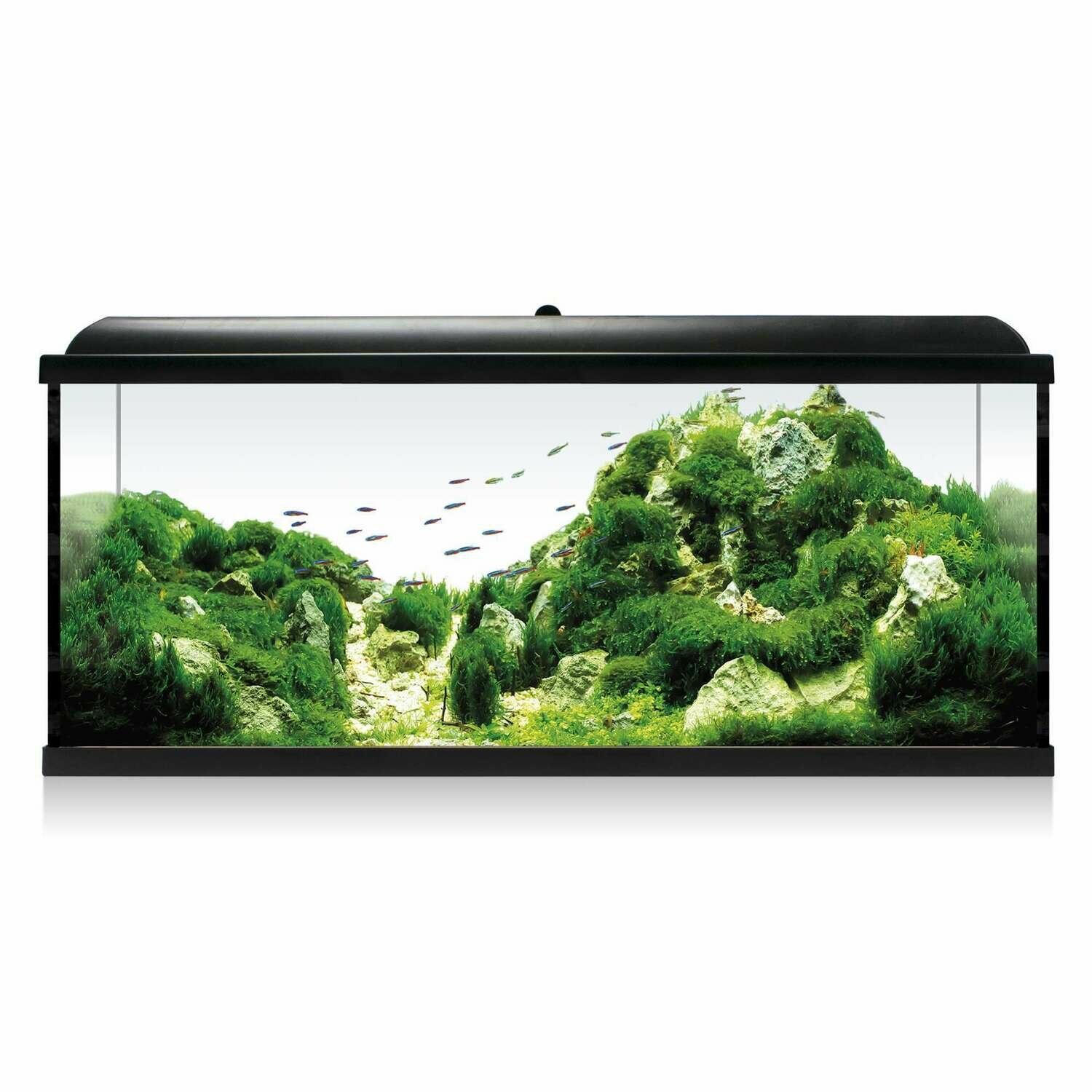 Kit AQUA LED RGB 100 Kit AQUA LED RGB 100