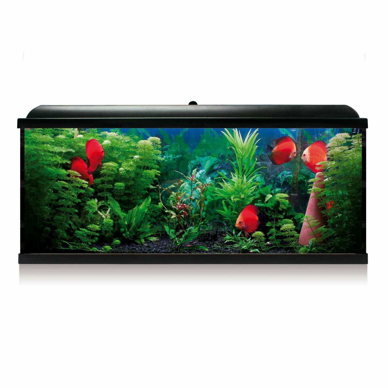 Kit AQUA LED RGB 240