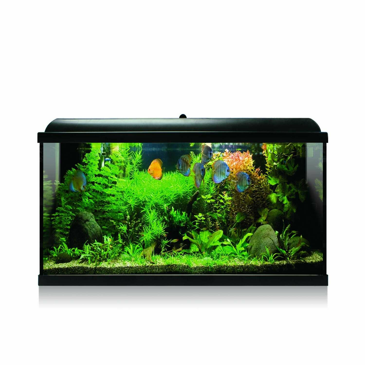 Kit AQUA-LED PRO 100  con filtro interior