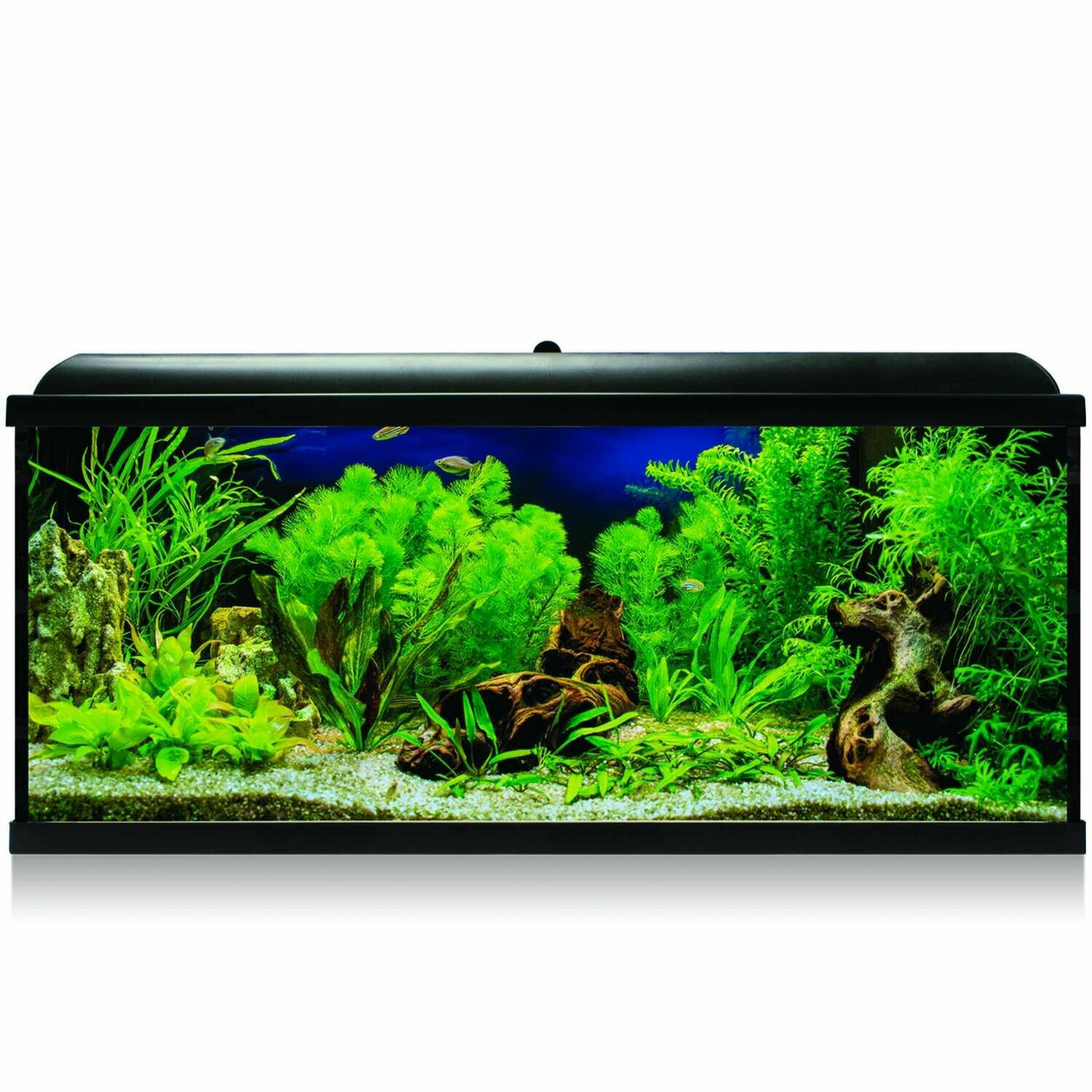 Kit AQUA-LED PRO 130 con filtro interior