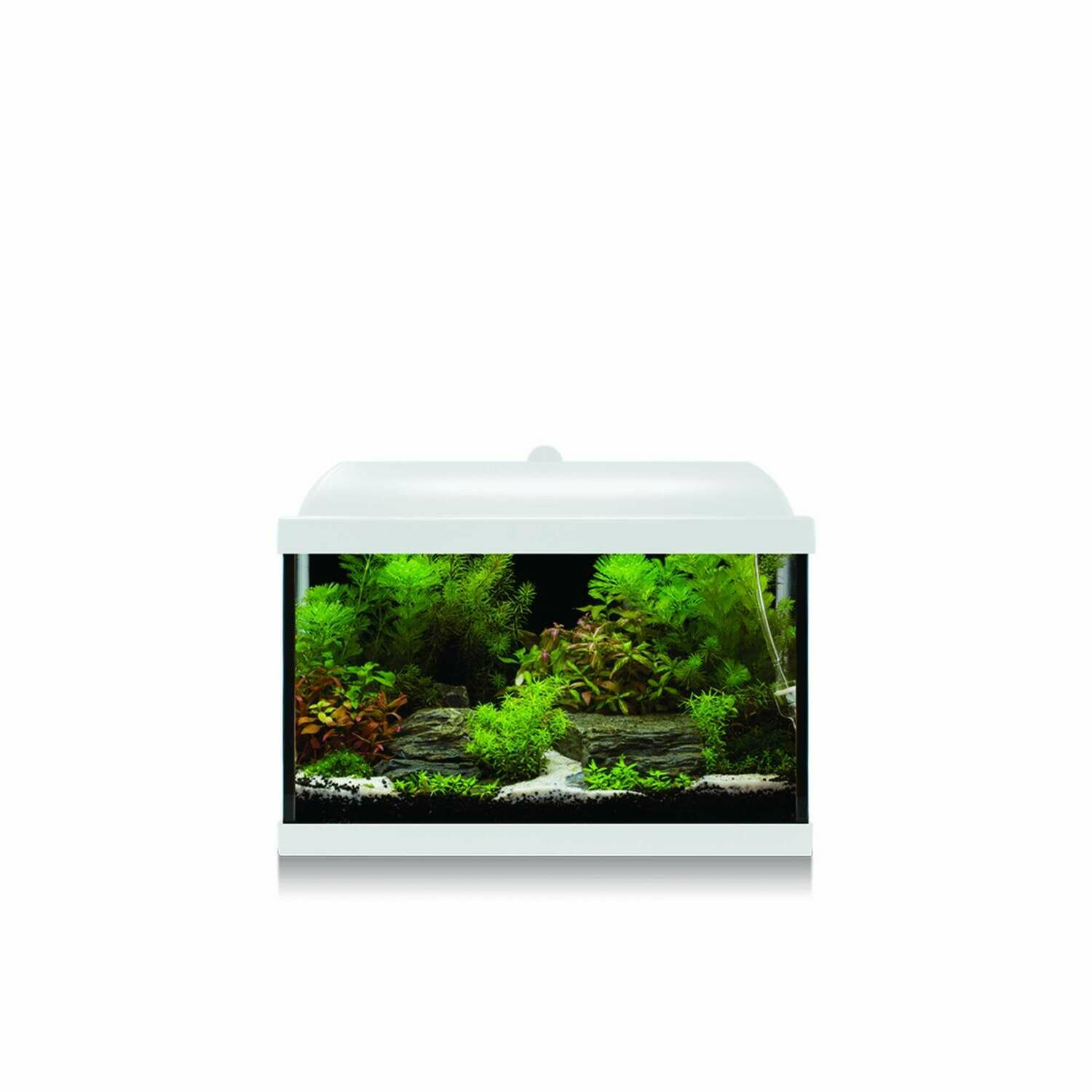 Kit AQUA-LED PRO 25 con filtro interior