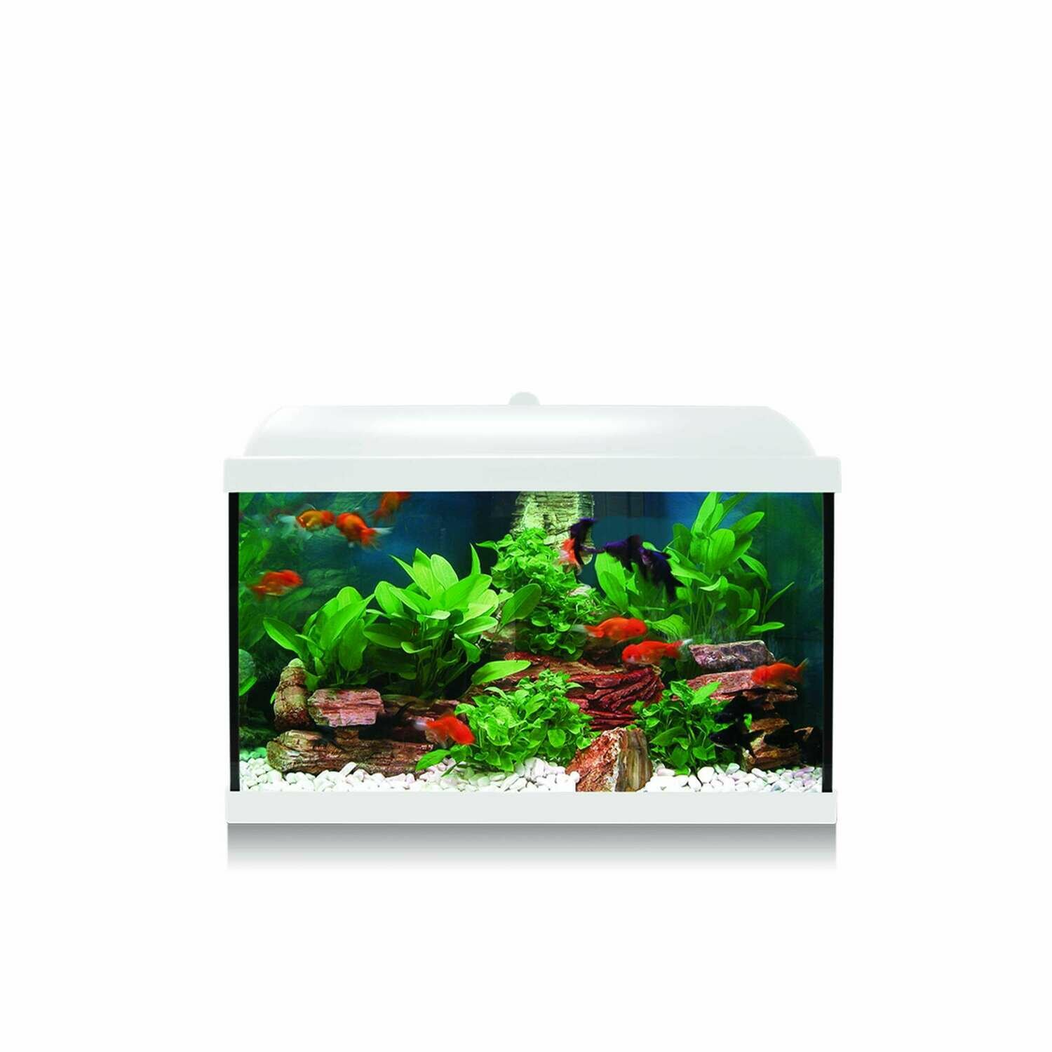 Kit AQUA-LED PRO 45 con filtro interior