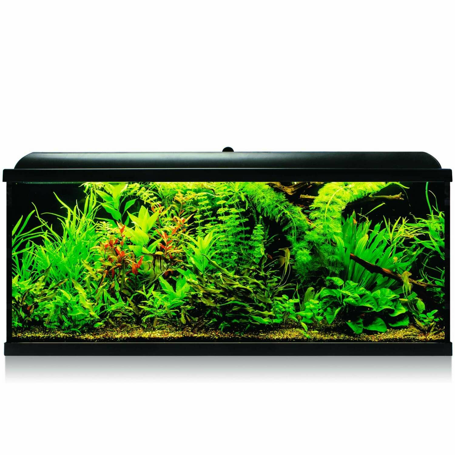 Kit AQUA-LED PRO 240 con filtro exterior