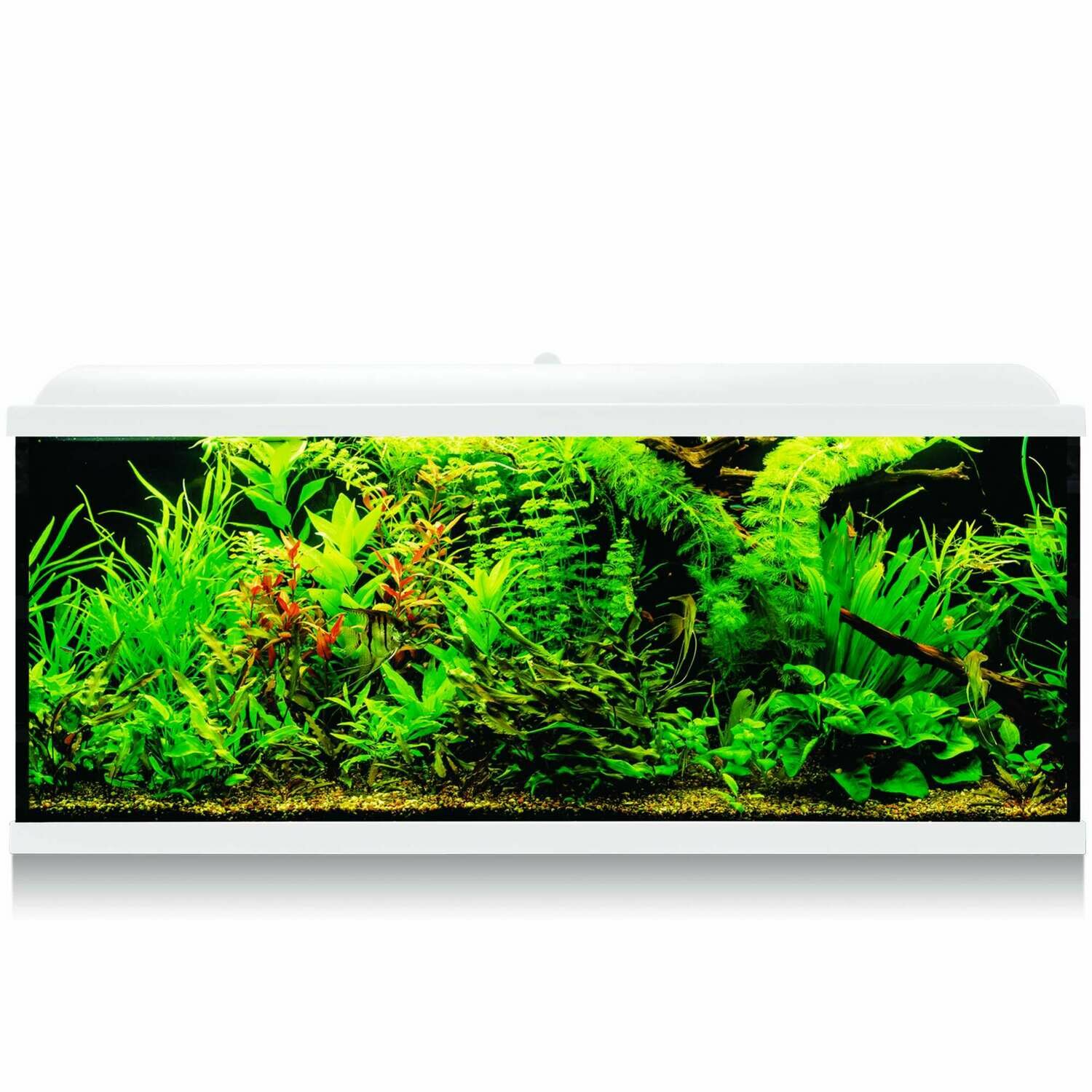 Kit AQUA-LED PRO 240 con filtro exterior Kit AQUA-LED PRO 240 con filtro exterior