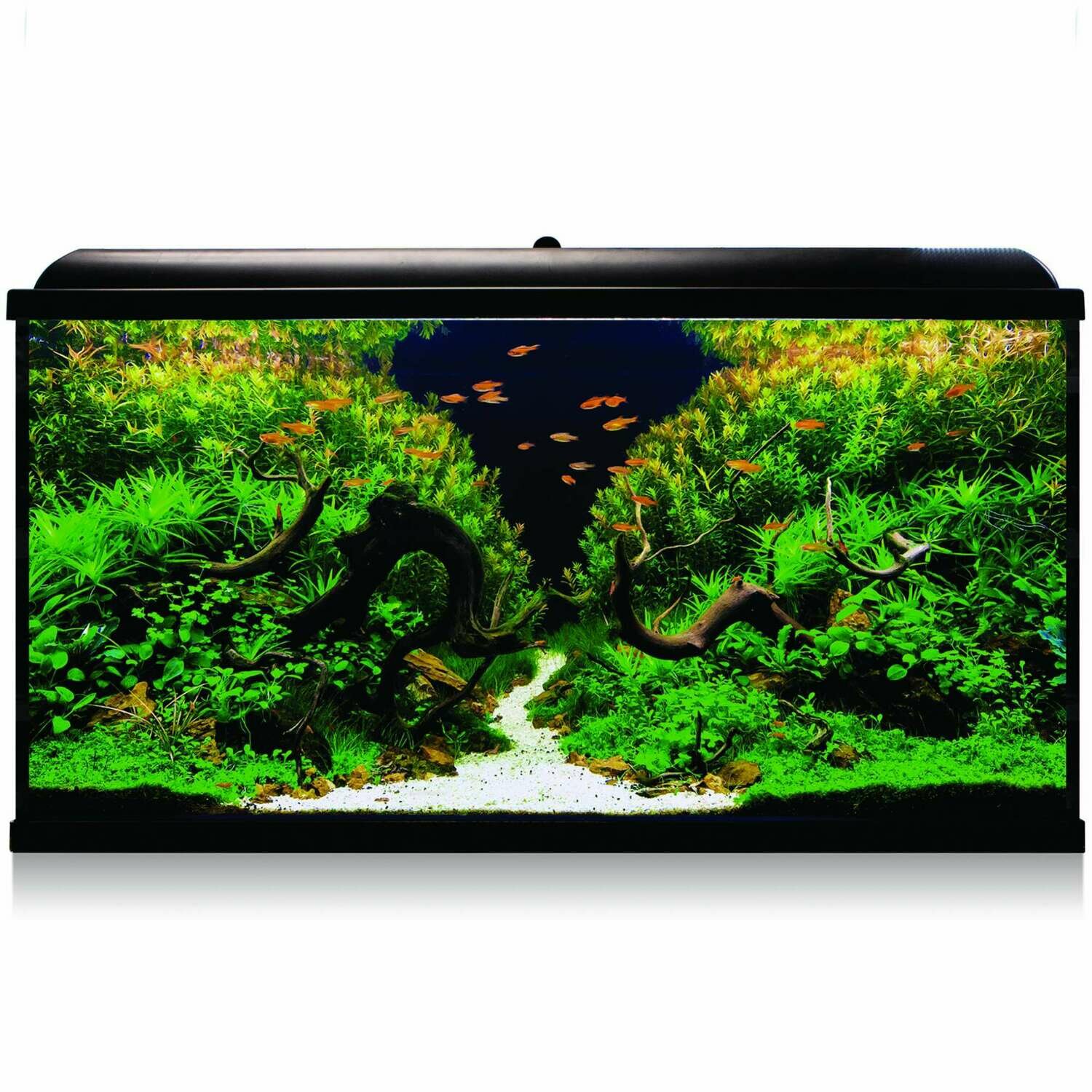 Kit AQUA-LED PRO 300 con filtro exterior