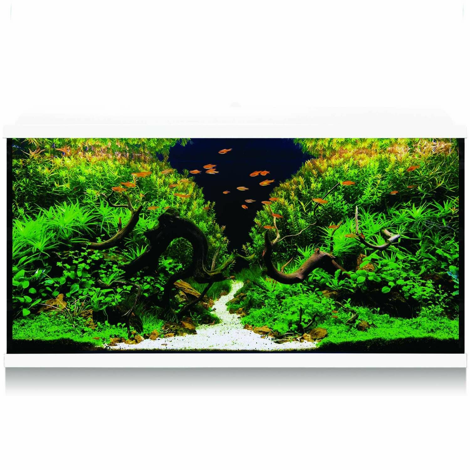 Kit AQUA-LED PRO 300 con filtro exterior