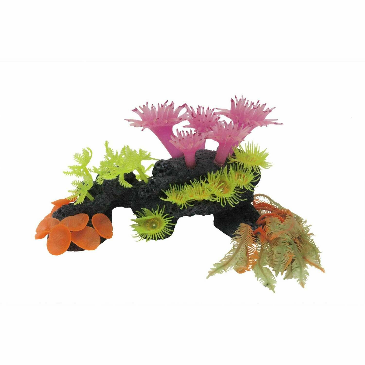 Conjunto deco-reef de ICA