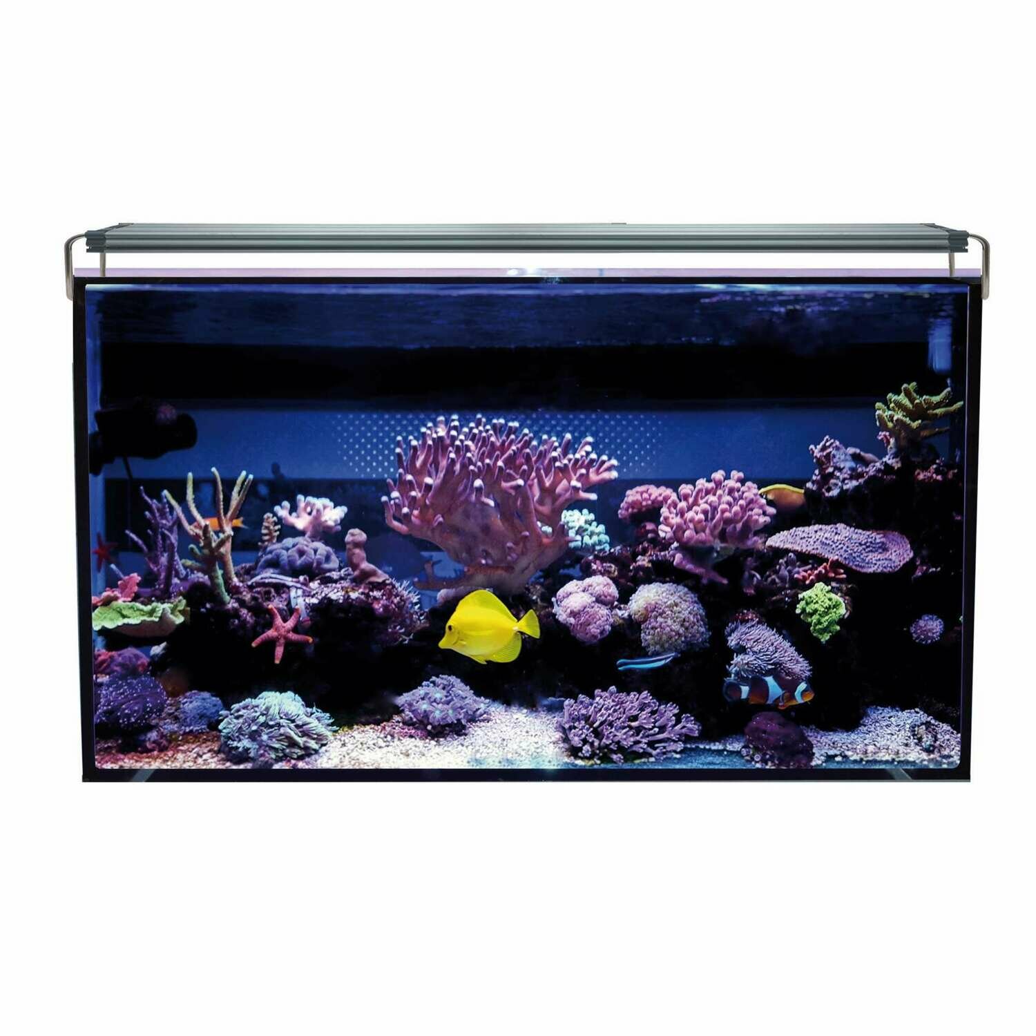 Acuario marino AQUA OCEAN Hydra Acuario marino AQUA OCEAN Hydra