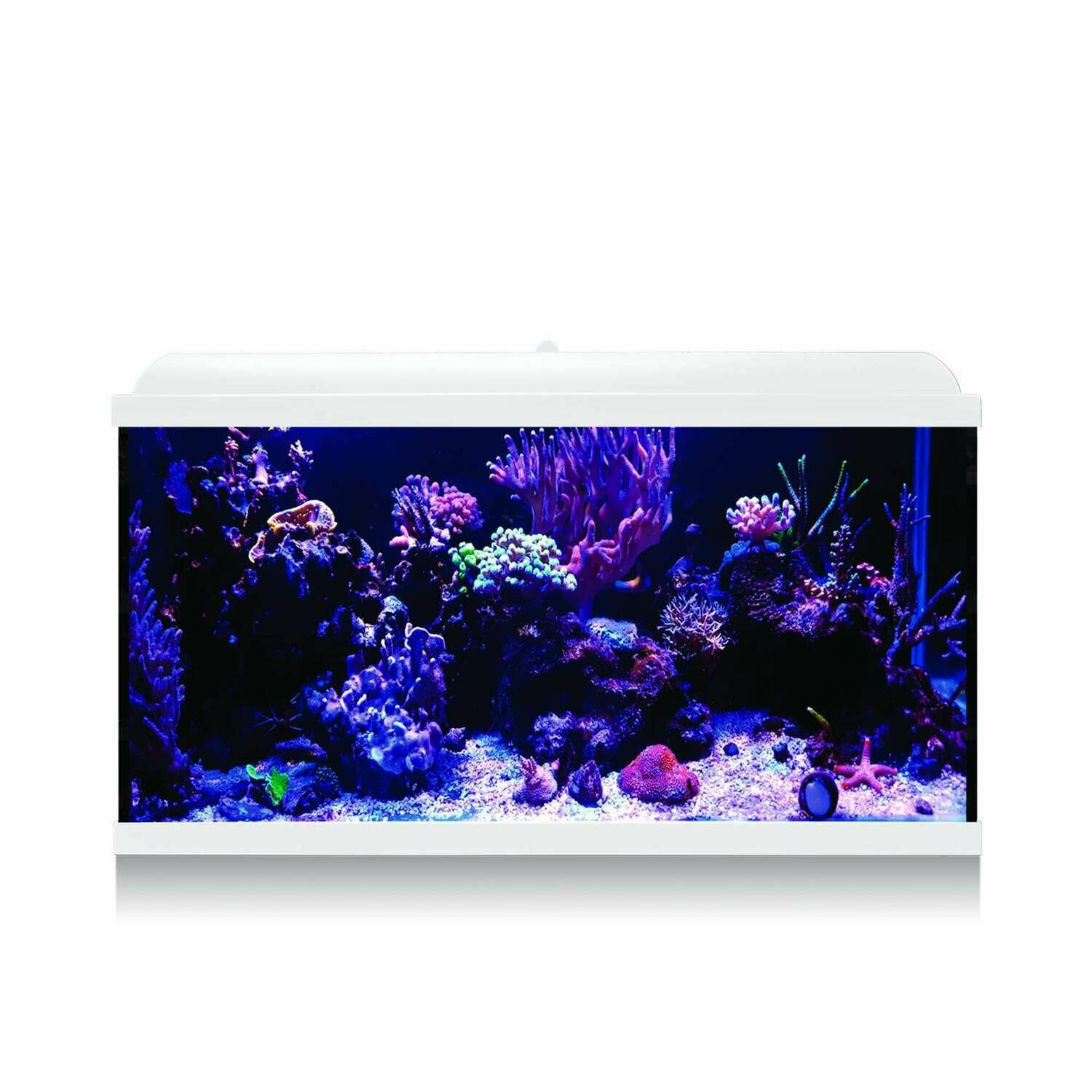 Kit Hydra 100 para agua salada