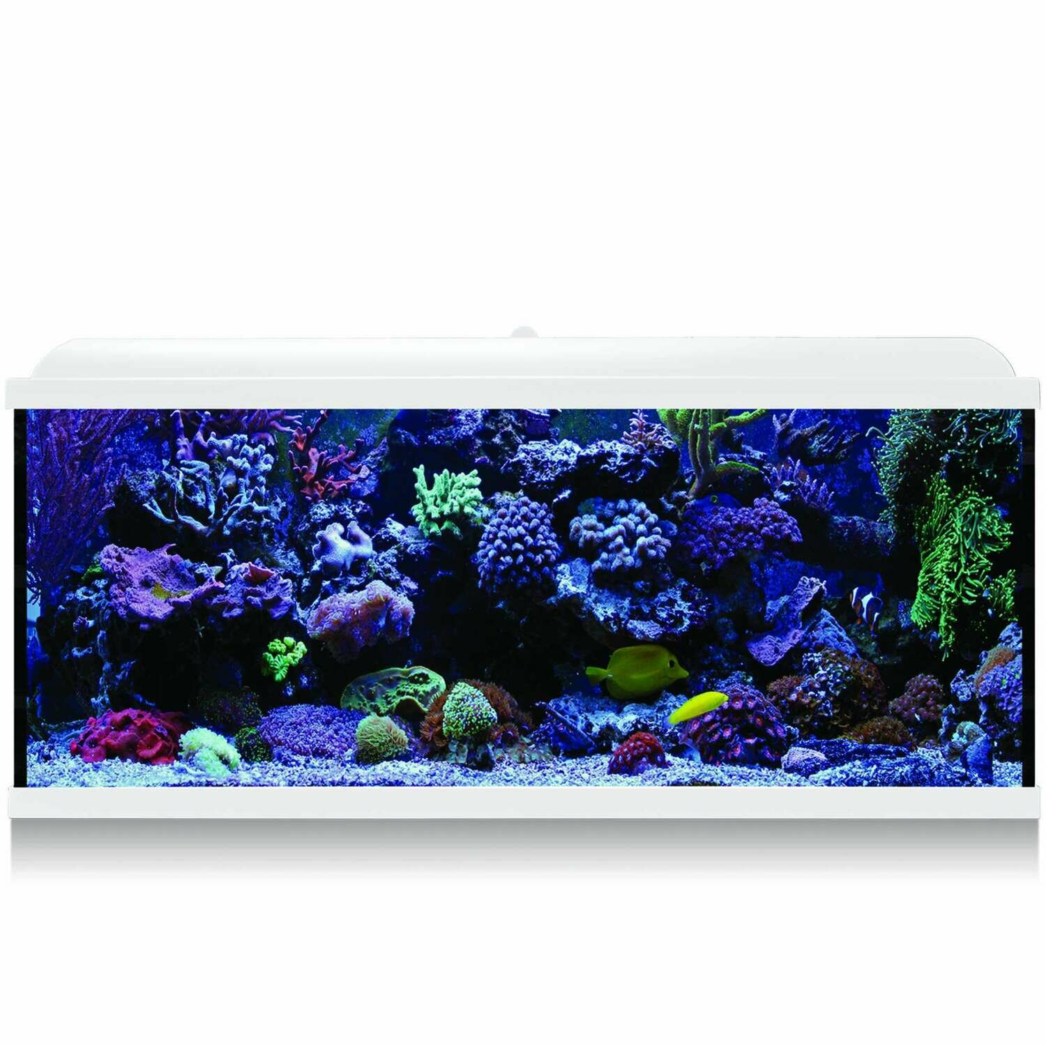 Kit Hydra 130 para agua salada