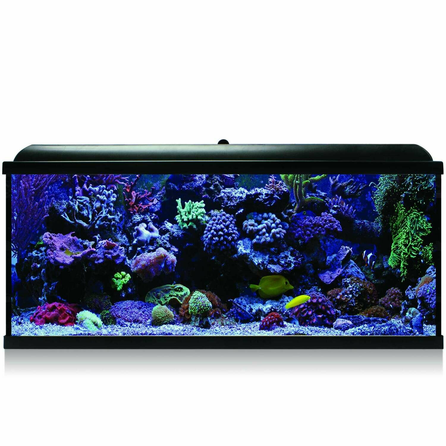 Kit Hydra 130 para agua salada