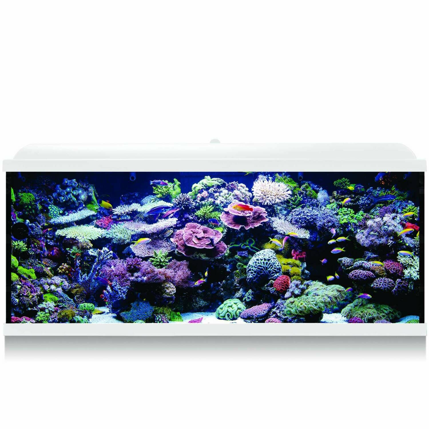 Kit Hydra 240 para agua salada