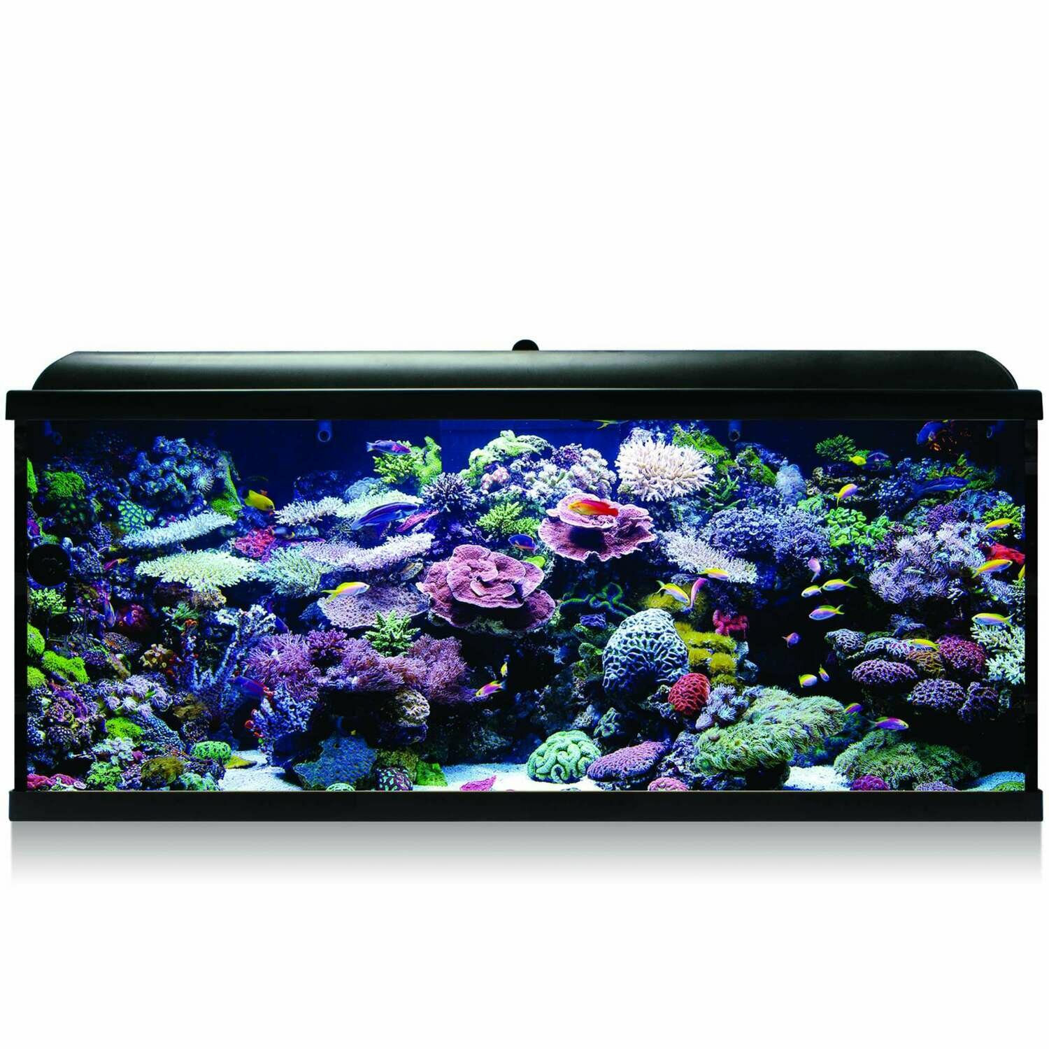 Kit Hydra 240 para agua salada