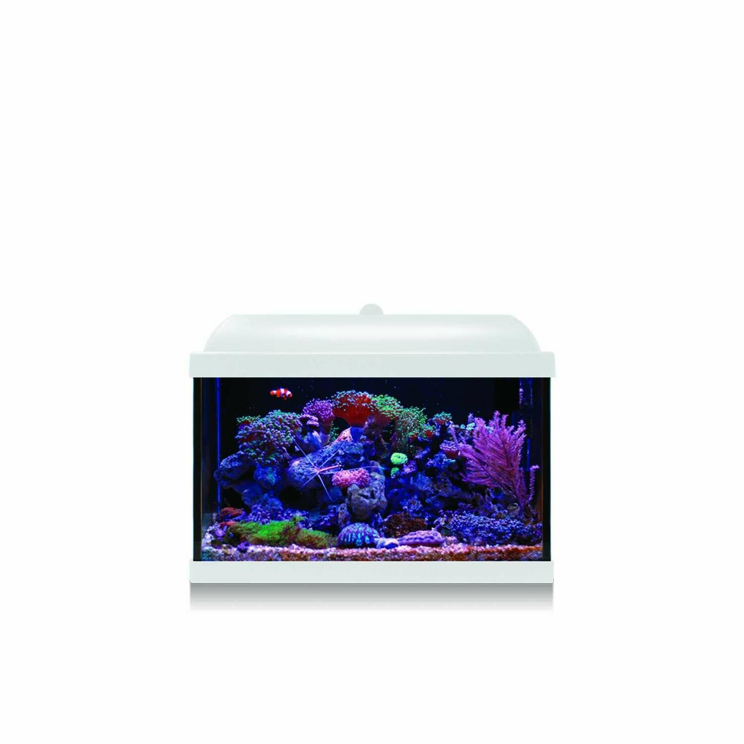 Kit Hydra 25 para agua salada