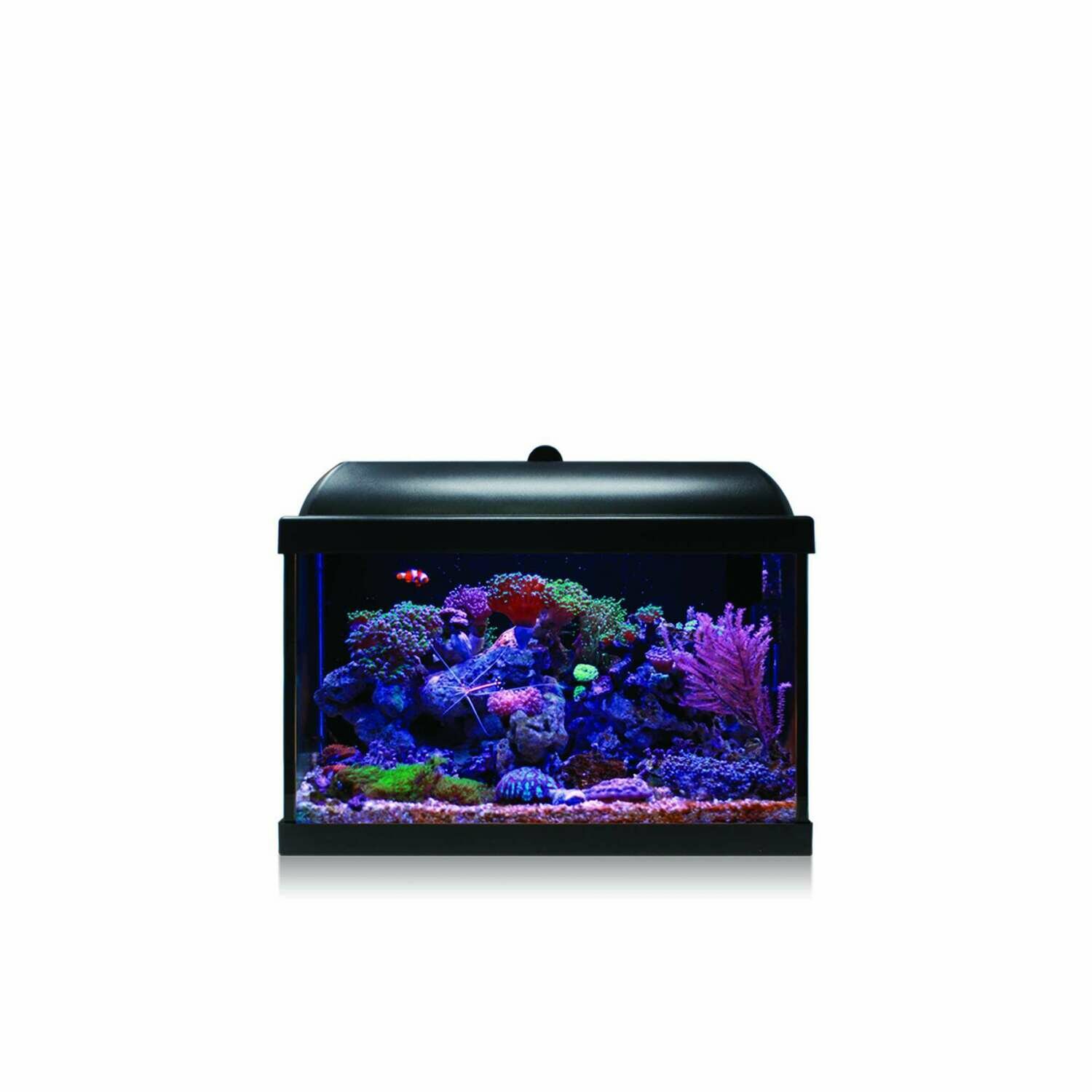 Kit Hydra 25 para agua salada