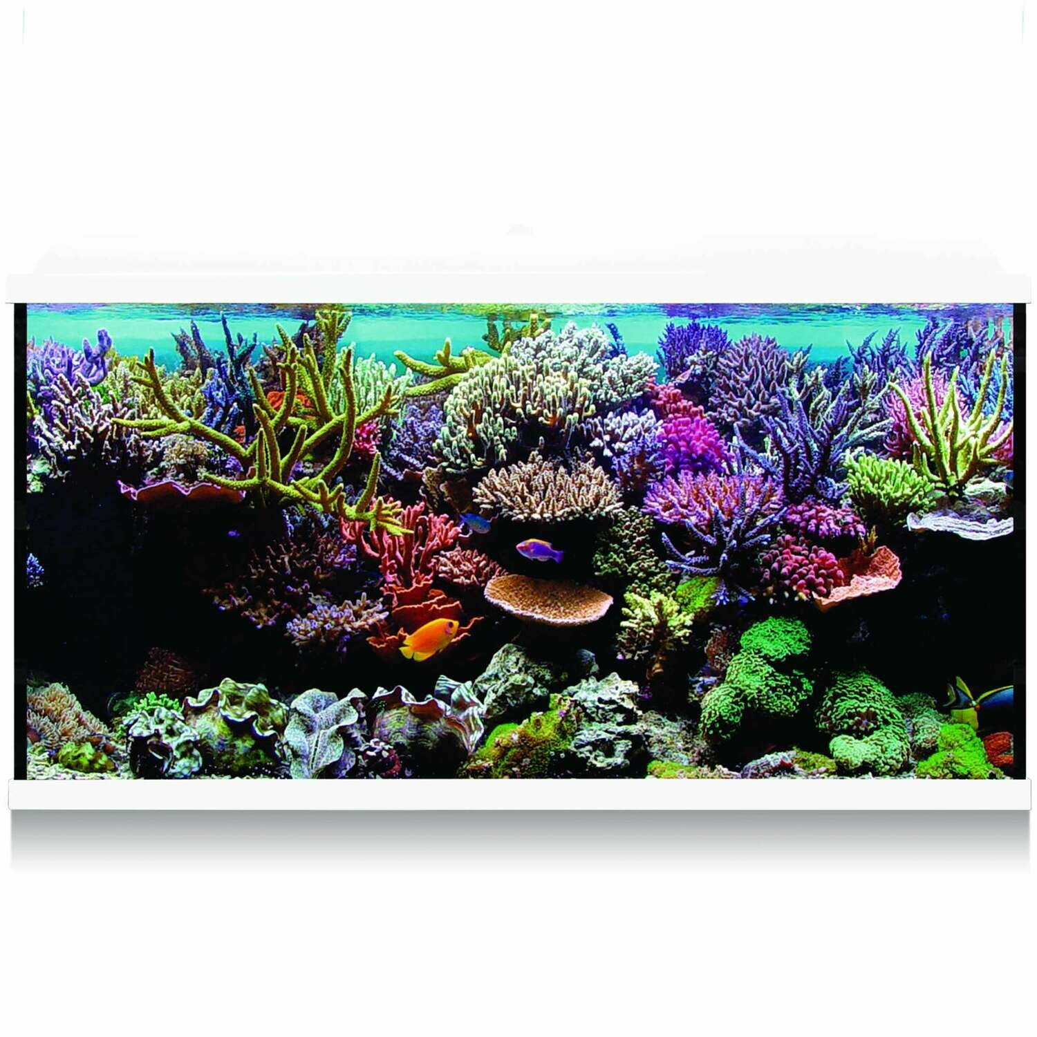 Kit Hydra 300 para agua salada Kit Hydra 300 para agua salada