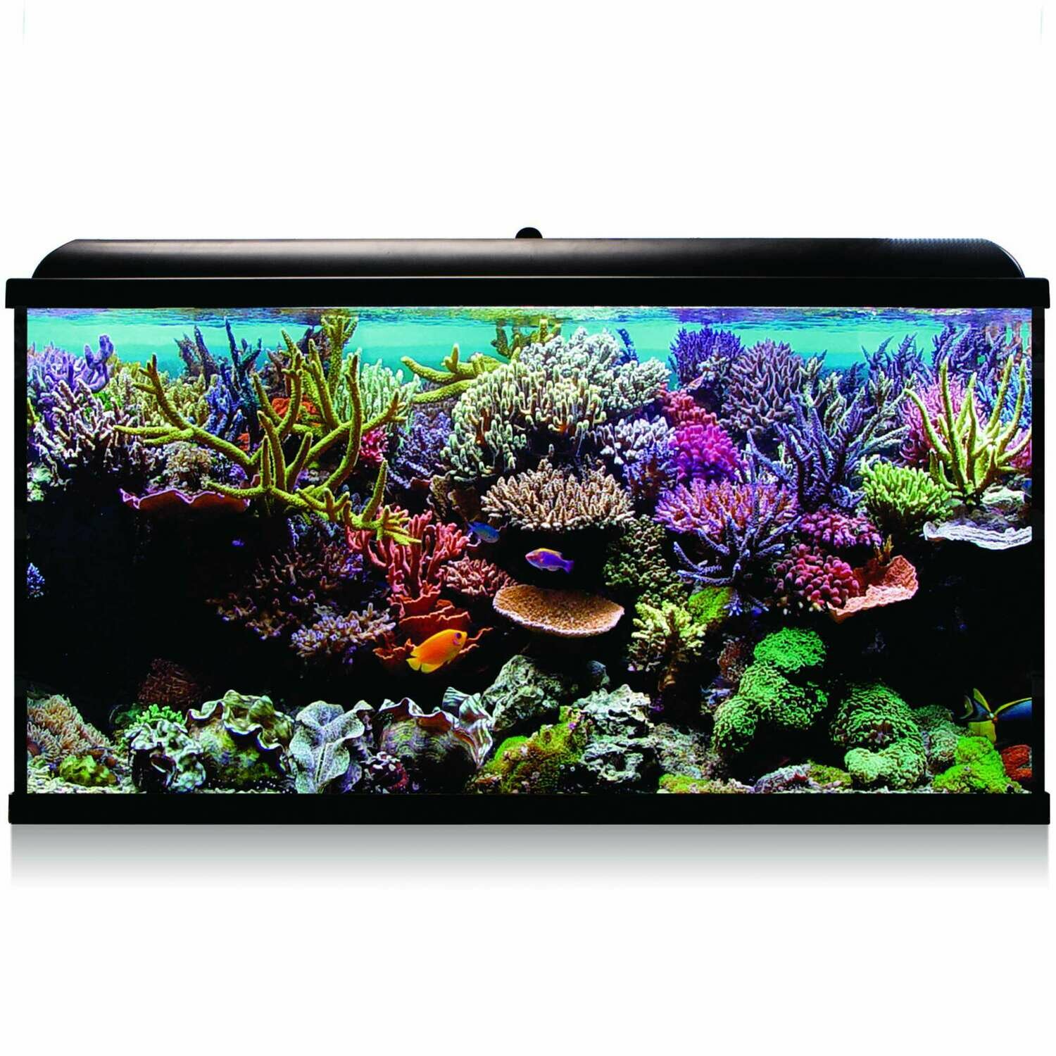 Kit Hydra 300 para agua salada