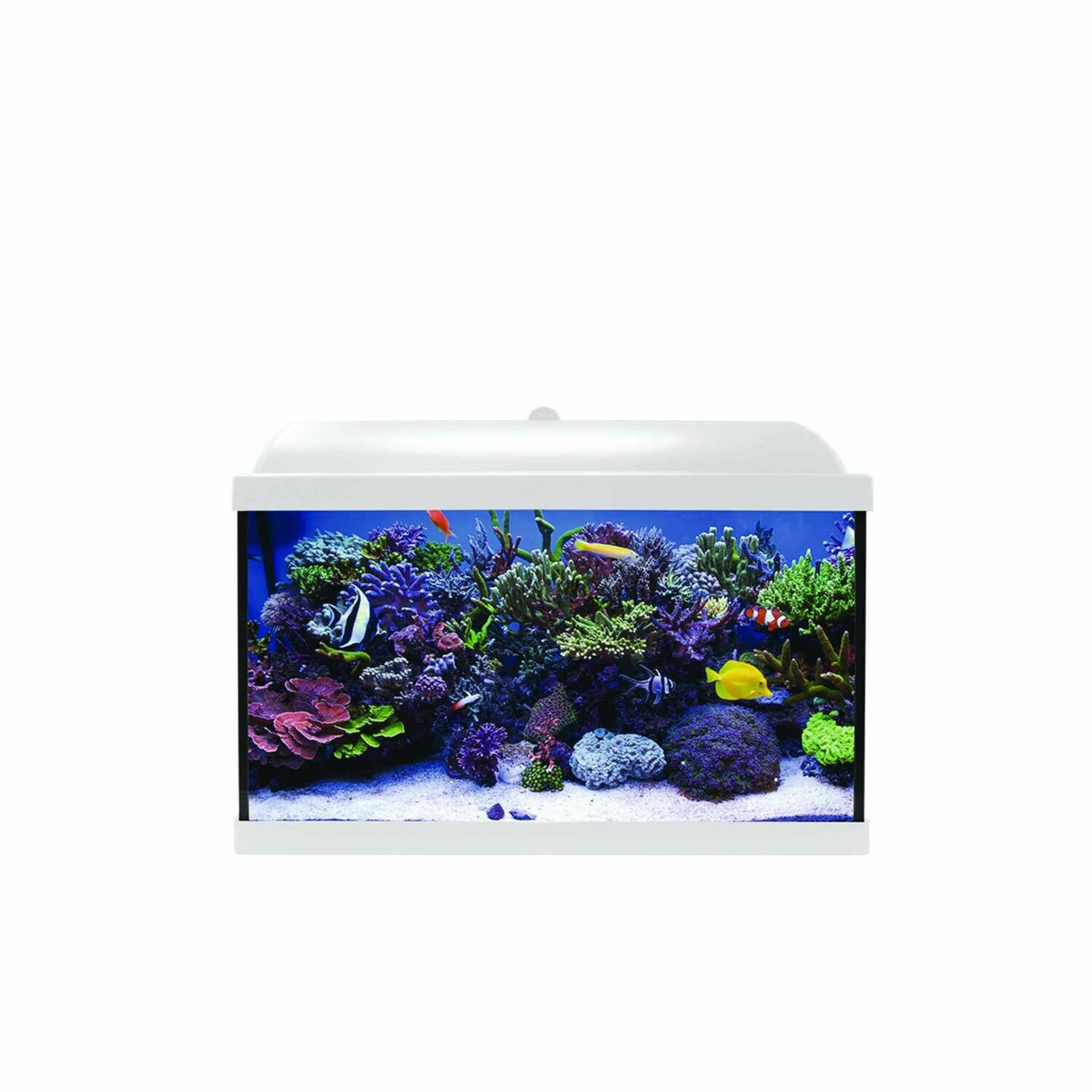 Kit Hydra 45 para agua salada