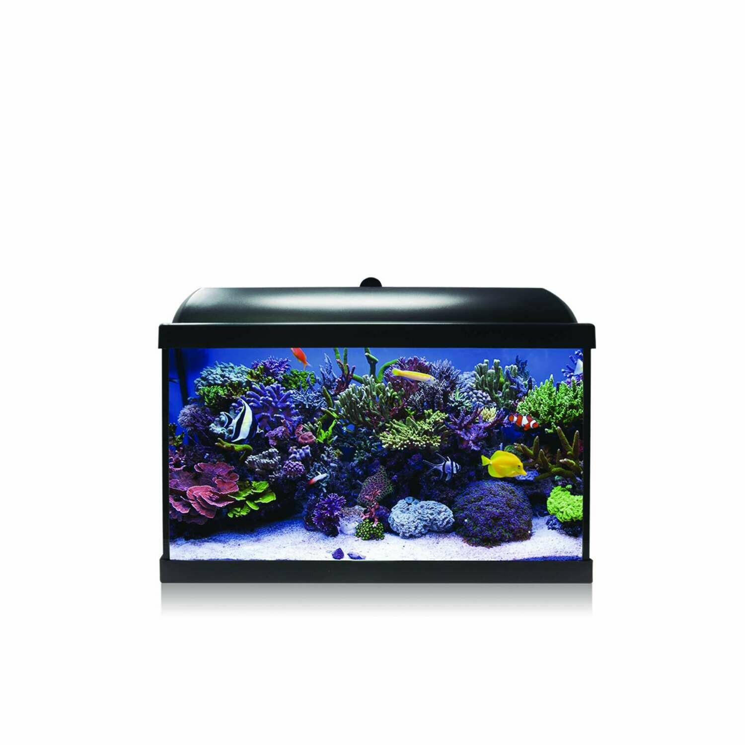 Kit Hydra 45 para agua salada